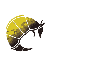 logo illustrator armadillo saftey pdf rev1.pdf (3)